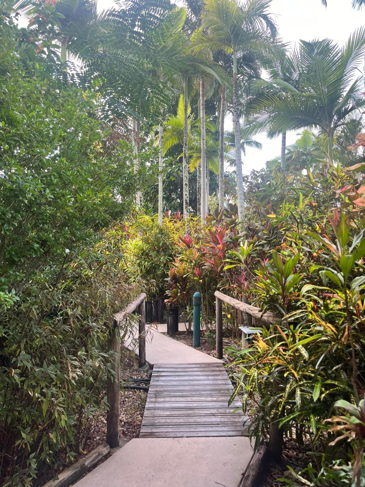 The Villas Palm Cove Dış mekan fotoğraf